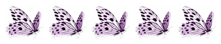 bibilotta 5 Schmetterlinge