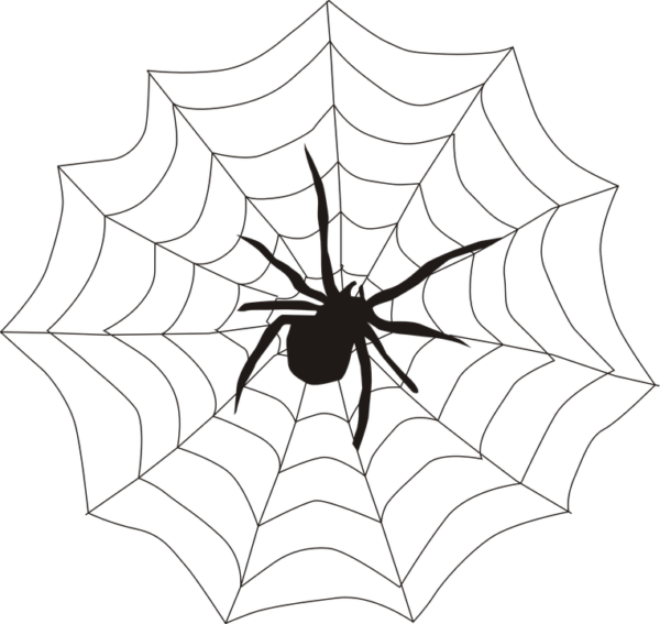 alt="spider-155449_960_720"