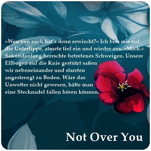 alt="Textschnipsel zu Not over you (4)"